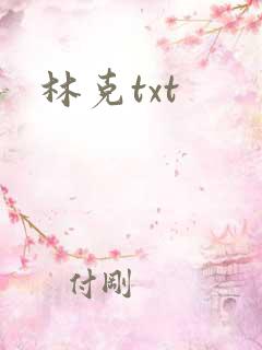 林克txt