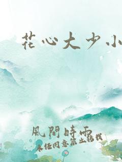 花心大少小说
