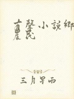 有声小说乡村小农民