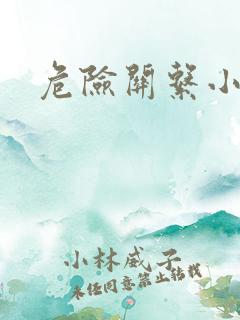 危险关系小说