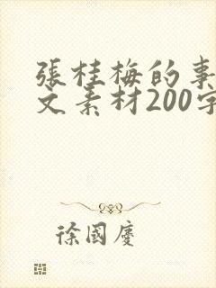 张桂梅的事迹作文素材200字