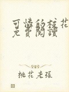 可怜的校花全文免费阅读