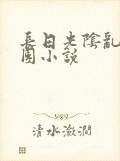 长日光阴乱作一团小说