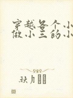 穿越各个小世界做小三的小说