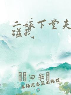 二嫁下堂夫君别碰我