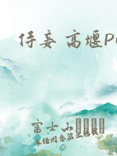 侍妾 高堰PO