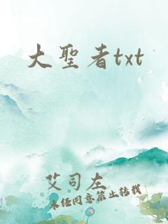大圣者txt