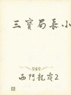 三宝局长小说