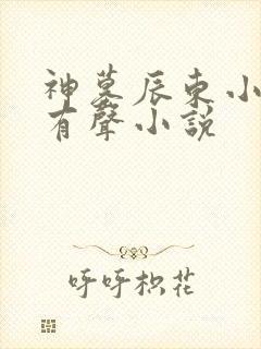 神墓辰东小说听有声小说
