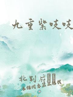九重紫吱吱小说