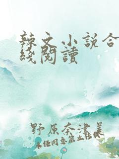辣文小说合集在线阅读