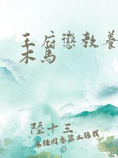 王府惩教养日常木马