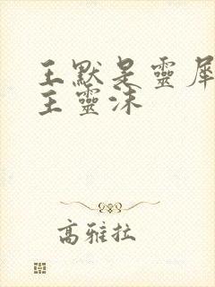 王默是灵犀阁公主灵沫