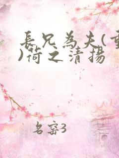 长兄为夫(重生)荷之清扬