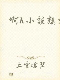 啊h小说想要