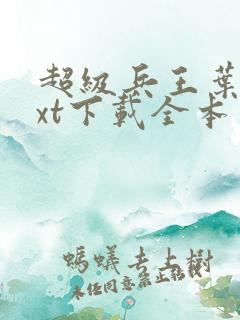 超级兵王叶谦txt下载全本