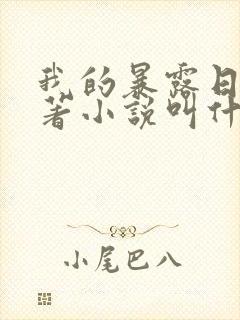 我的暴露日记原著小说叫什么
