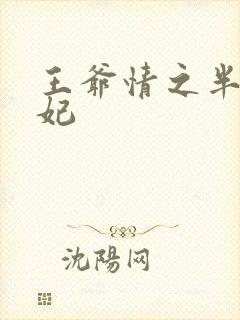 王爷情之半面王妃