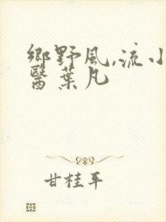 乡野风,流小神医叶凡