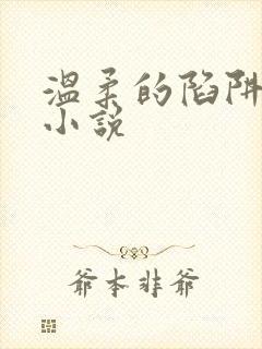 温柔的陷阱周芸小说