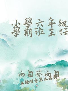 小学六年级第二学期班主任工作总结