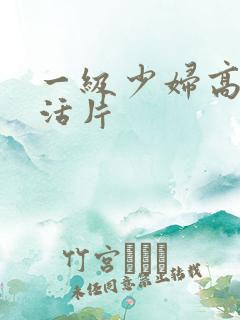 一级少妇高清生活片