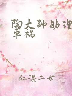 陶大帅助理子豪车祸