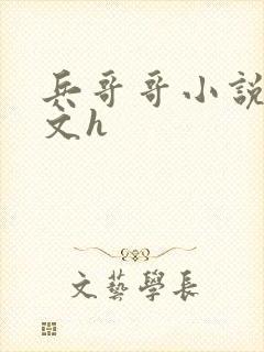 兵哥哥小说高干文h
