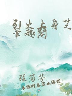 引火上身芝麻糖笔趣阁