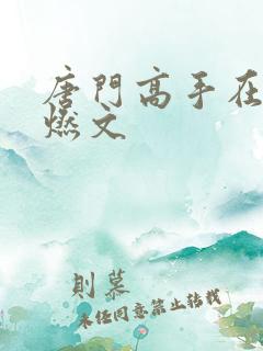 唐门高手在异世燃文