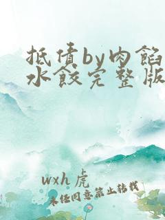 抵债by肉馅小水饺完整版