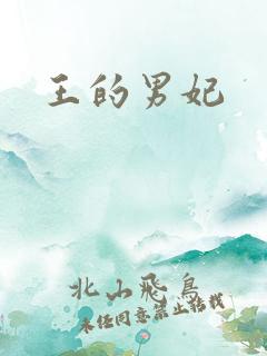 王的男妃