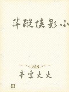 萍踪侠影小说
