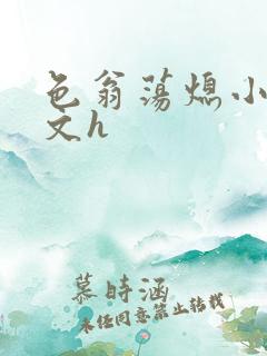 色翁荡熄小说全文h