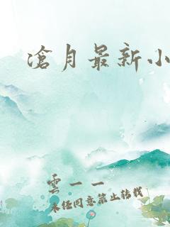 沧月最新小说