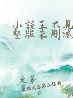 小说王不见王完整版未删减小说
