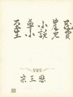 至尊小农民王木生小说免费阅读