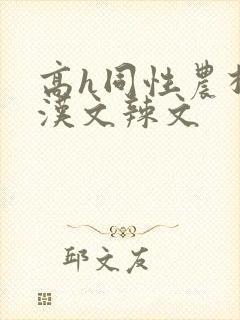 高h同性农村壮汉文辣文