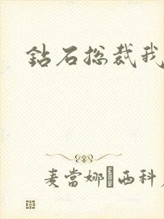 钻石总裁我已婚