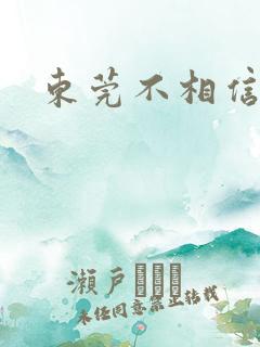 东莞不相信眼泪