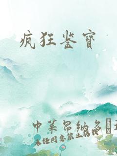 疯狂鉴宝