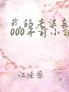 我的老婆来自1000年前小说免费阅读,无弹窗