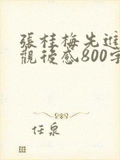 张桂梅先进事迹观后感800字范文5篇