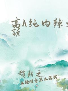 高h纯肉辣文小说