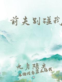 前夫别碰我
