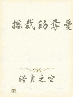 总裁的夺爱游戏