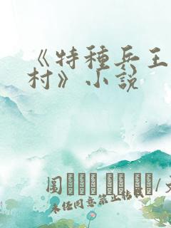 《特种兵王在山村》小说