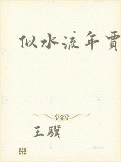 似水流年贾二虎