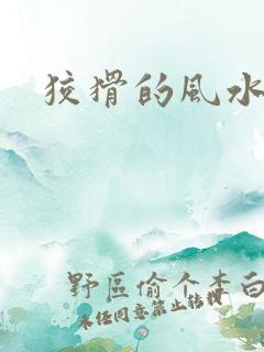 狡猾的风水先生