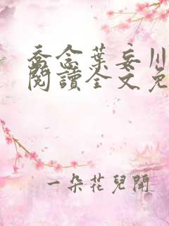 乔念叶妄川在线阅读全文免费